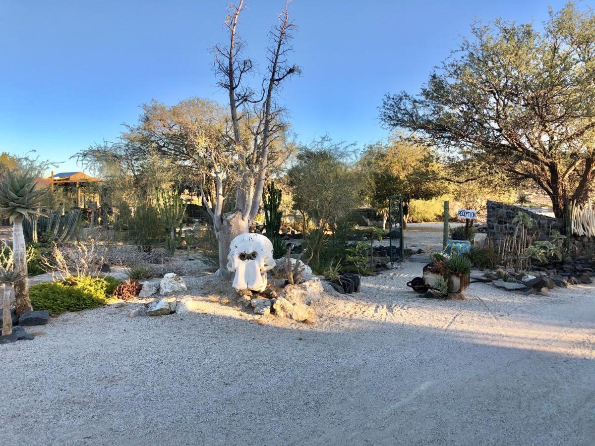 Daureb Isib Campsite And B&B Uis Bagian luar foto