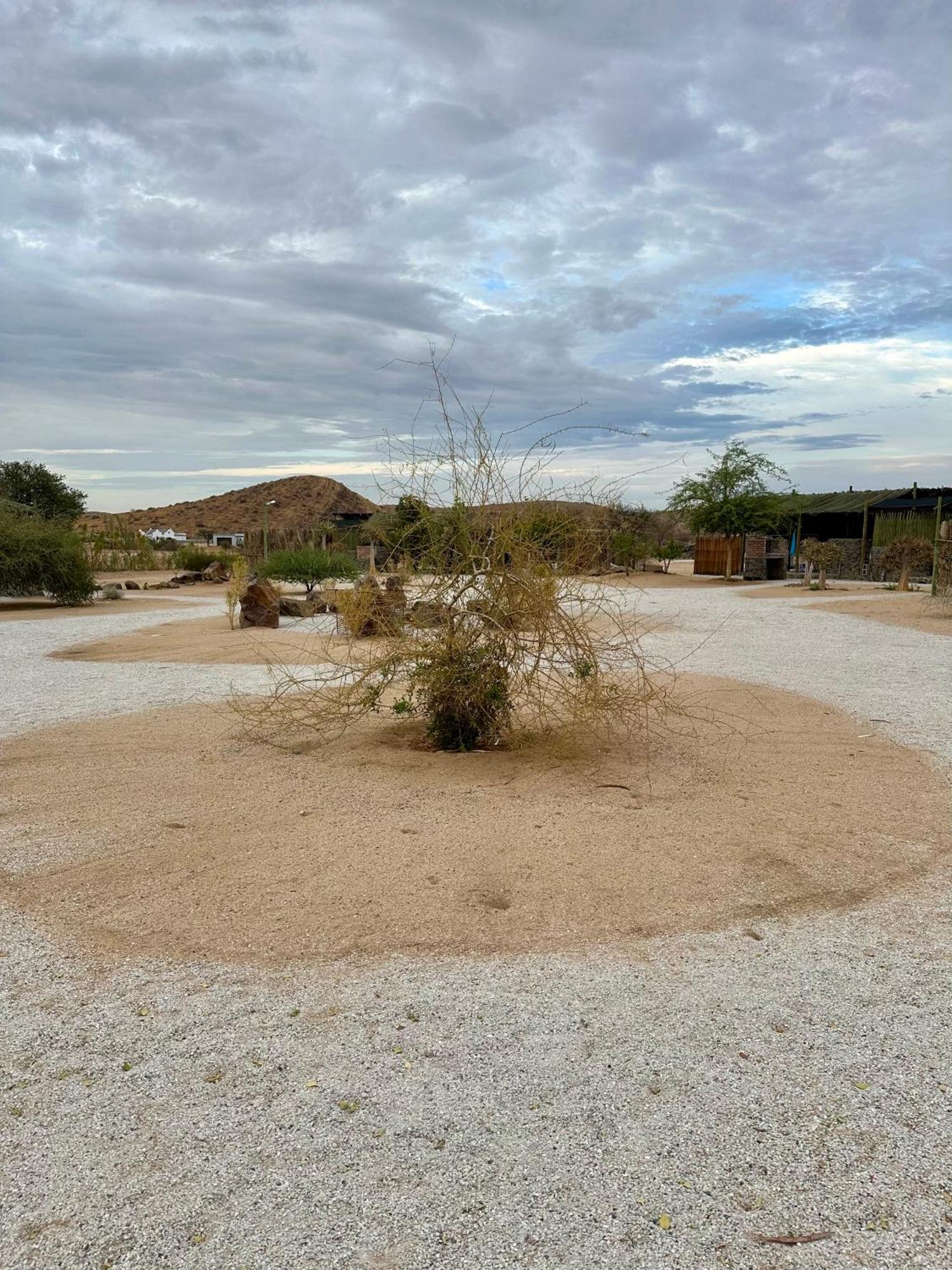 Daureb Isib Campsite And B&B Uis Bagian luar foto