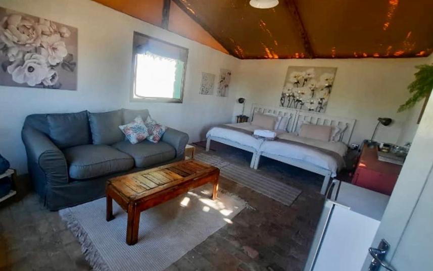 Daureb Isib Campsite And B&B Uis Bagian luar foto